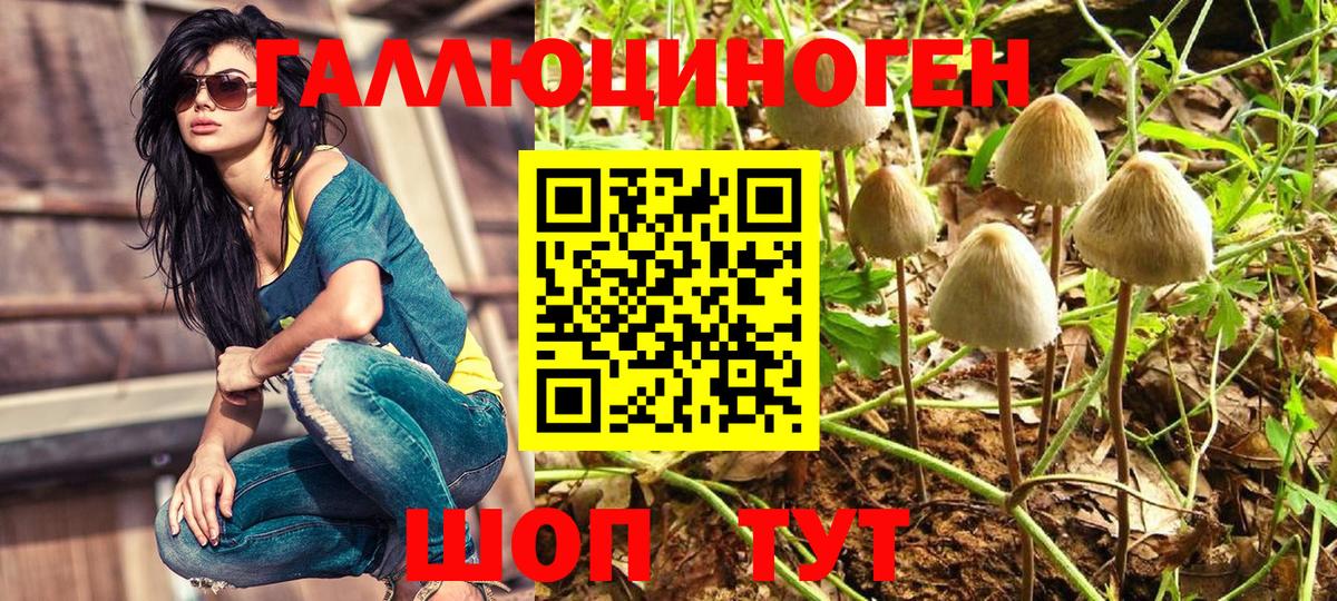 Псилоцибиновые грибы Psilocybine cubensis Скопин