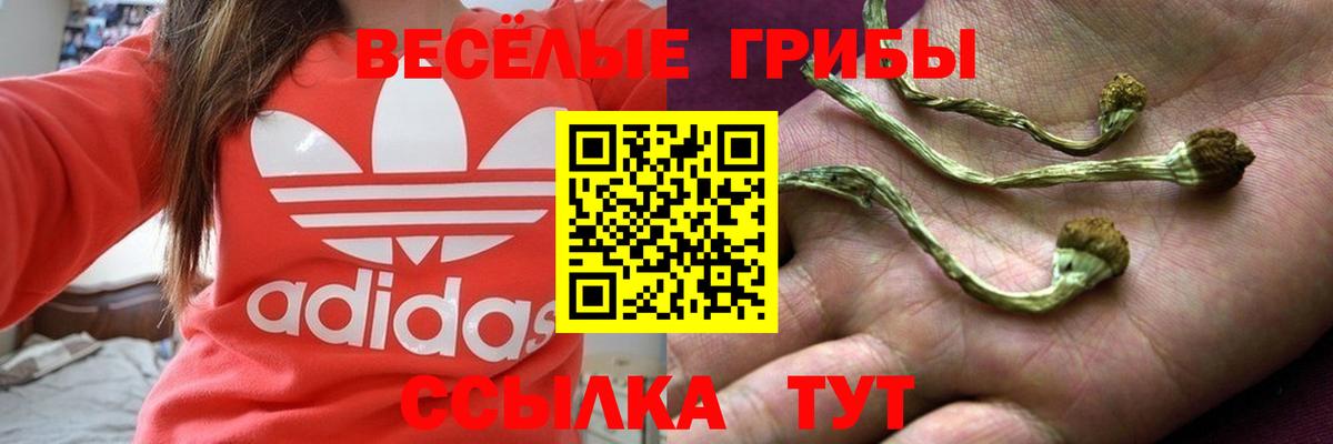 Псилоцибиновые грибы мицелий  Вход с VPN  Скопин 